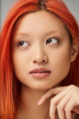 close up portrait of pretty and young asian woman with perfect skin  daydreaming on grey backdrop clipart