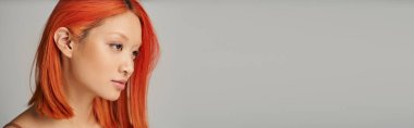portrait of delicate asian woman with perfect skin and red hair posing on grey backdrop, banner clipart