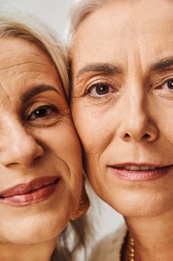close-up portrait of positive senior women with makeup looking at camera in studio, timeless beauty clipart
