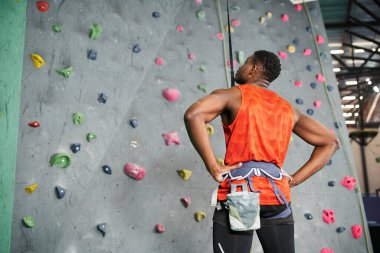 muscular african american man with alpine harness with hands akimbo ready to climb up rock wall clipart