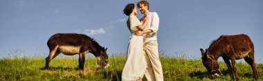 happy interracial newlyweds white attire embracing near donkeys grazing on meadow, banner clipart