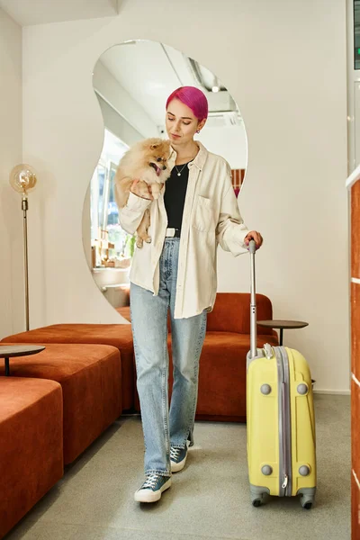 trendy woman with purple hair holding pomeranian spitz and walking with suitcase in pet hotel