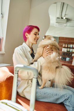 Neşeli mor saçlı kadın köpek otelinde bulanık bavulun yanında sevimli Pomeranya tükürükleri okşuyor.
