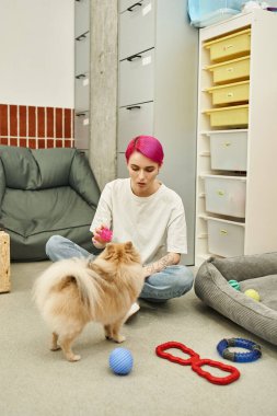 Hayvan bakıcısı yerde oyuncakla oturuyor ve köpek otelinde Pomeranya tükürüğüyle oynuyor.