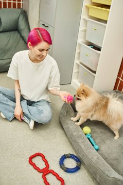 Gülümseyen köpek bakıcısı oyuncağı tutarken pomeranya tükürüğüyle oynuyordu.