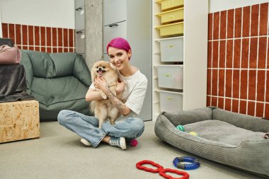 Evcil hayvan bakıcısı yumuşak köpek yatağının yanında Pomeranian Spitz 'i kucaklıyor ve evcil hayvan otelinde yerde oyuncaklar var.