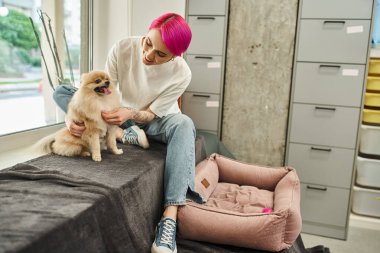 Sevgi dolu köpek bakıcısı sevimli Pomeranian Spitz 'i kucaklar rahat evcil hayvan otelinde, köpek keyfi