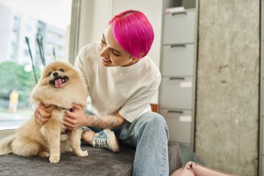 Mutlu köpek bakıcısı evcil hayvan otelinin rahat ortamında neşeli pomeranya spitz okşuyor, sevgi dolu bakım
