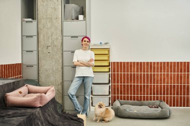 Tam boy kadın köpek bakıcısı rahat bir oteldeki Pomeranian Spitz 'in yanında duruyor.