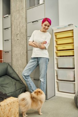Neşeli köpek bakıcısı sevimli ve tüylü Pomeranya tükürüğünün yanında duruyor rahat bir otel odasında.