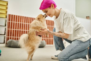 Sevimli Pomeranian Spitz 'in yan görünüşü neşe dolu otel işçisinin burnundan hoşlanıyor, köpek mutluluğu.