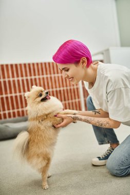 Evcil hayvan bakıcısının evcil hayvan otelinde sevimli pofuduk köpeciğin patilerini tutarken, ilgi ve şefkat