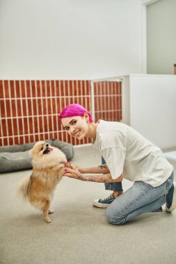 Gülümseyen köpek bakıcısı elinde oyuncak Pomeranian Spitz pençeleriyle evcil oteldeki kameraya bakıyor.