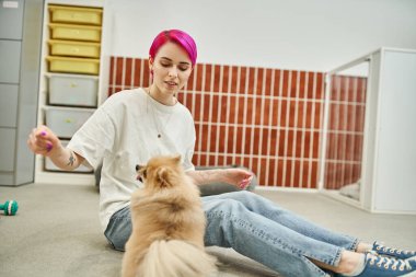 Havalı kadın köpek bakıcısı evcil hayvan otelinde otururken pomeranian spitz eğitiyor.