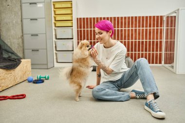 Neşeli kadın köpek bakıcısı evcil hayvan otelinde itaat kursunda pomeranian spitz ikram ediyor.
