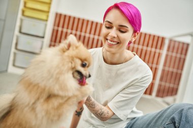 Mutlu stil sahibi köpek bakıcısı sevimli Pomeranian Spitz 'e bakıyor, evcil hayvan otelinde eğitim görüyor.