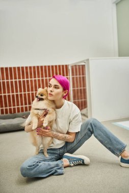 Dövmeli kadın köpek bakıcısı kürklü Pomeranian Spitz 'i kucaklıyor ve evcil hayvan otelinde yere bakıyor.