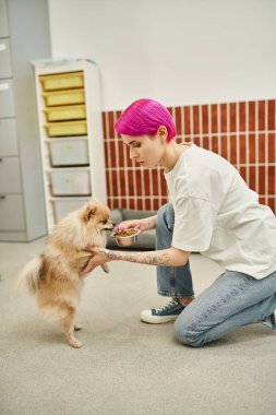 Kadın köpek bakıcısının evcil hayvan otelinde tatlı pomeranya spitzlerini köpek mamasıyla beslerken yan görüntüsü.