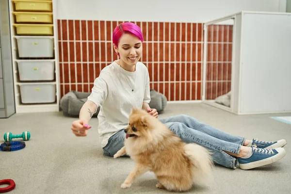positive pet hotel worker holding treat near pomeranian spitz while sitting on floor, dog training