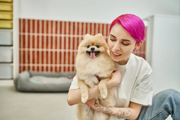 caring dog sitter embracing adorable pomeranian spitz in cozy pet hotel, pet-friendly concept