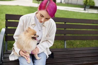 Modayı takip eden saç stili olan bir kadın parkta bankta oturuyor, sevimli Pomeranya tükürüğüyle, köpek sever.