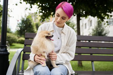Pembe saçlı bir kadının park sahnesi. Pomeranian Spitz 'i parktaki bankta dinleniyor. Açık hava eğlencesi.