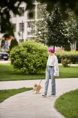 stylish purple-haired woman walking with pomeranian spitz on automated leash on green city street clipart