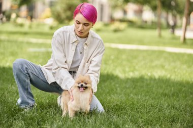 stylish purple-haired woman with adorable pomeranian spitz on green lawn in park, outdoor activity clipart