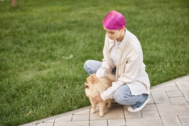 Mor saçlı şık bir kadın yeşil çimlerin yanındaki parkta tatlı Pomeranya tükürüğünü kucaklıyor.