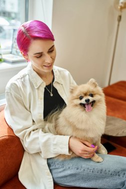 Gülümseyen mor saçlı kadın komik Pomeranya tükürüğüyle modern köpek otelinde oturuyor, evcil hayvan servisi