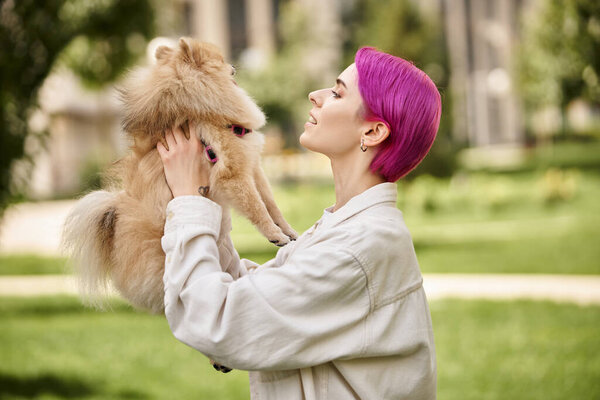 side view of cheerful woman with purple hair holding delightful pomeranian spitz in hands outdoors