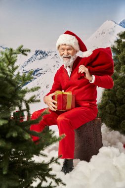 Noel Baba hediye çantası ve hediyesiyle kozalaklı ağaçların yanındaki kütükte oturuyor, kış konsepti.