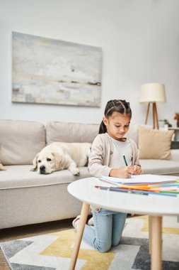 little girl in casual clothes drawing on paper with color pencil near labrador in living room, art clipart