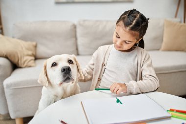 little girl in casual clothes drawing with color pencil and cuddling labrador in living room, art clipart