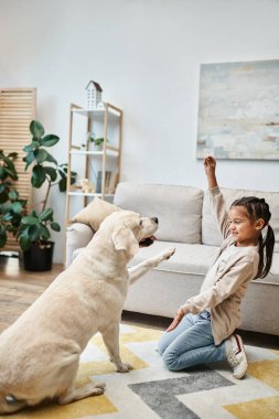 İlkokul öğrencisi kız modern oturma odasında Labrador 'la gülüyor ve oynuyor. Çocuk köpeğe ödül veriyor.