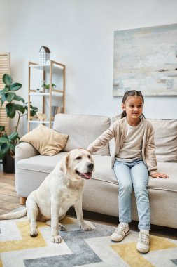 Modern oturma odasında Labrador 'u okşarken kanepede gülümseyen ve oturan tatlı kız, çocuk ve köpek.
