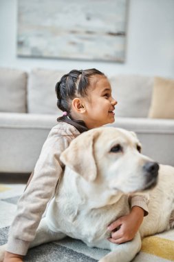 Modern oturma odasında, çocuk ve labrador 'da gülen ve okşayan gündelik kıyafetli neşeli çocuk.