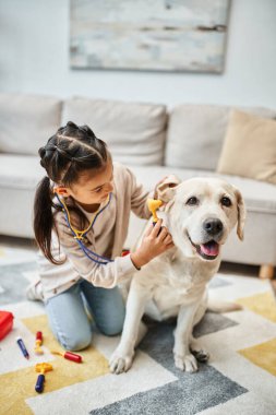 Modern oturma odasında labradorla doktorculuk oynayan sevimli bir kız, oyuncak ilk yardım çantası ve stetoskop.