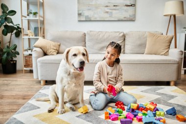 Oturma odasında Labrador yakınlarında renkli oyuncak bloklarıyla oynayan neşeli kız kule oyunu yapıyor.