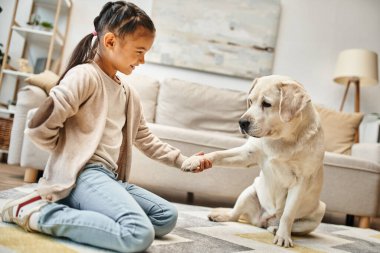 Modern oturma odasında gündelik kıyafetlerle gezen ilkokul kızına pençe atan sevimli labrador, çocuk ve köpek