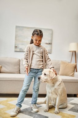 Gündelik giyinen tatlı kız modern oturma odasında eğitim labradoru, pozitif takviye konsepti