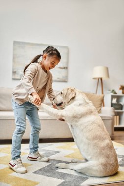 Gündelik giyinen mutlu kız modern oturma odasında labrador eğitimi alıyor. Çocuğa patiler veriyor.