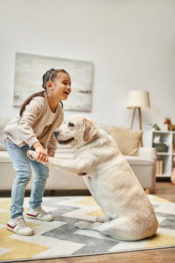 Gündelik giyinen neşeli kız labrador eğitimi alıyor modern oturma odasında gülüyor, mutlu an.