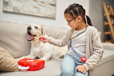 happy kid in casual wear and eyeglasses playing doctor with labrador dog on sofa in living room clipart