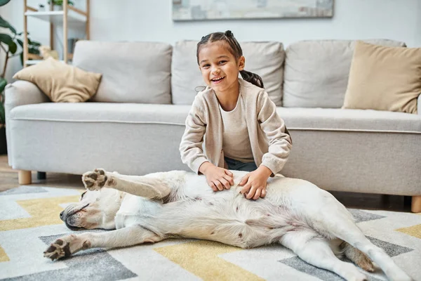 happy cute girl in casual attire smiling and stroking dog in modern living room, kid and labrador