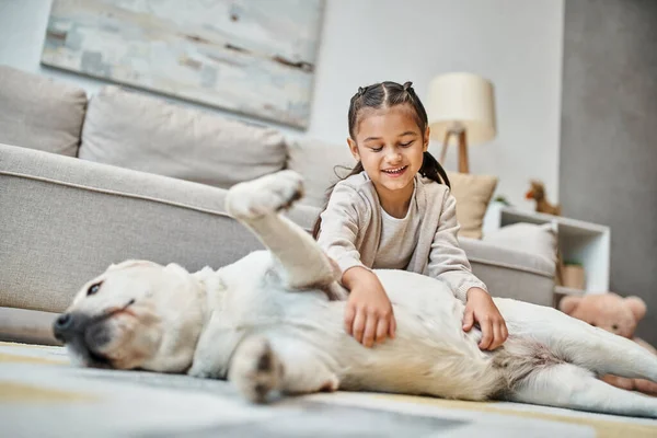 joyous girl in casual attire smiling and stroking dog in modern living room, kid and labrador