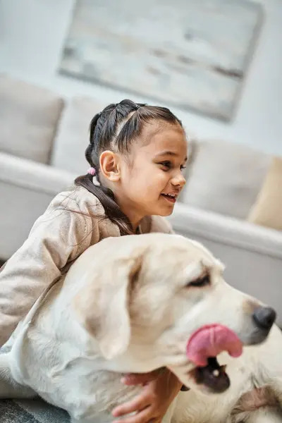 joyful girl in casual attire smiling and stroking dog in modern living room, child and labrador