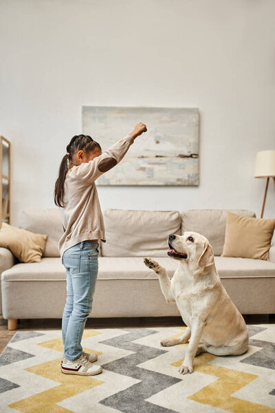 girl in casual wear training labrador in modern living room, kid giving treat while teaching dog