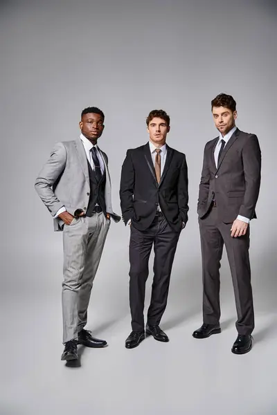 stock image appealing stylish multiracial male models in business elegant smart suits posing on gray backdrop