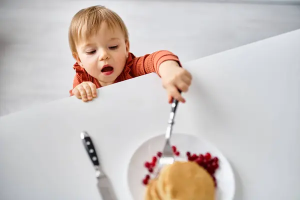 stock image adorable little baby girl in cozy orange sweater trying to reach out some breakfast on table